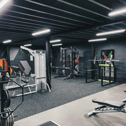 Fitness & Wellness